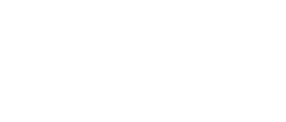 Nettuno logo